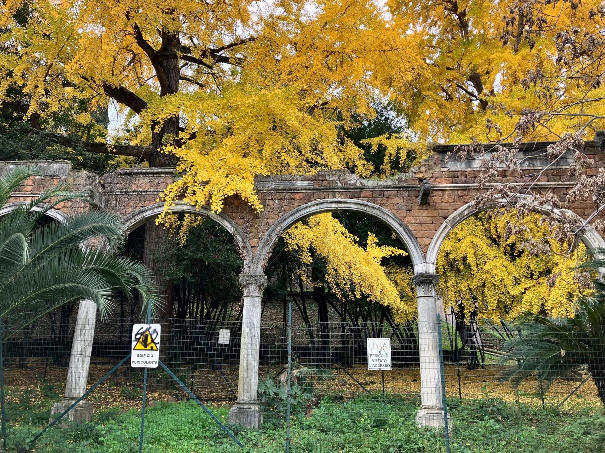 Ulisse Rome